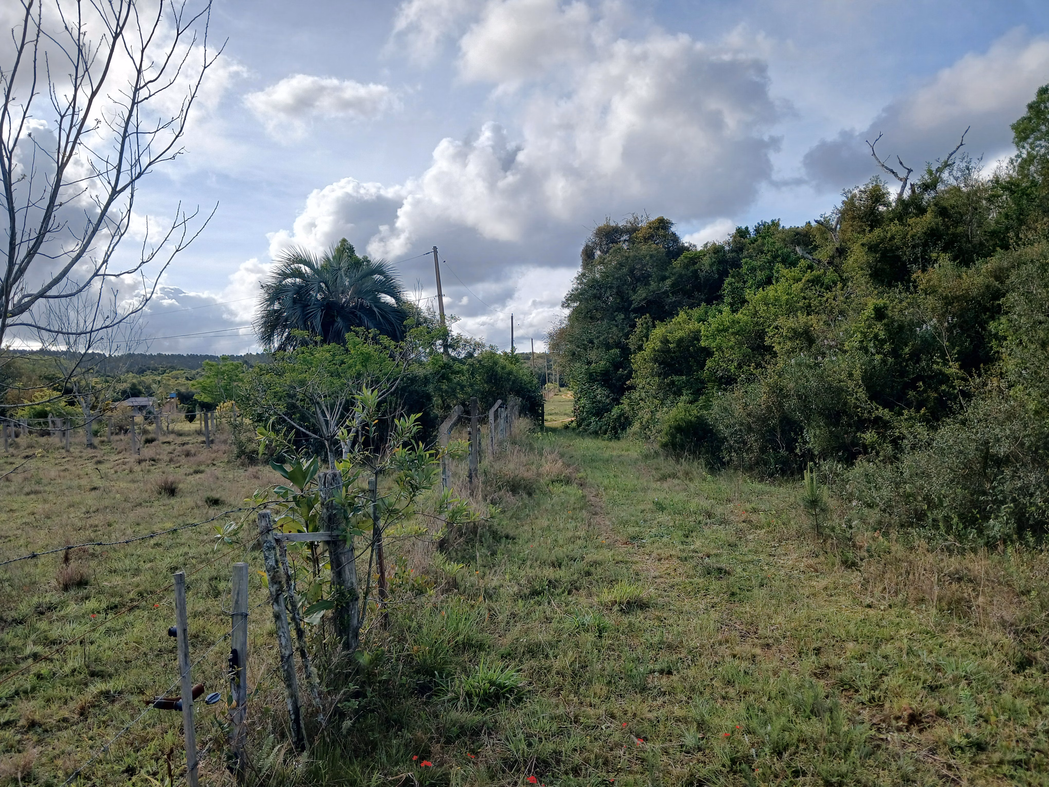 Sítio de 1 ha em Viamão, RS