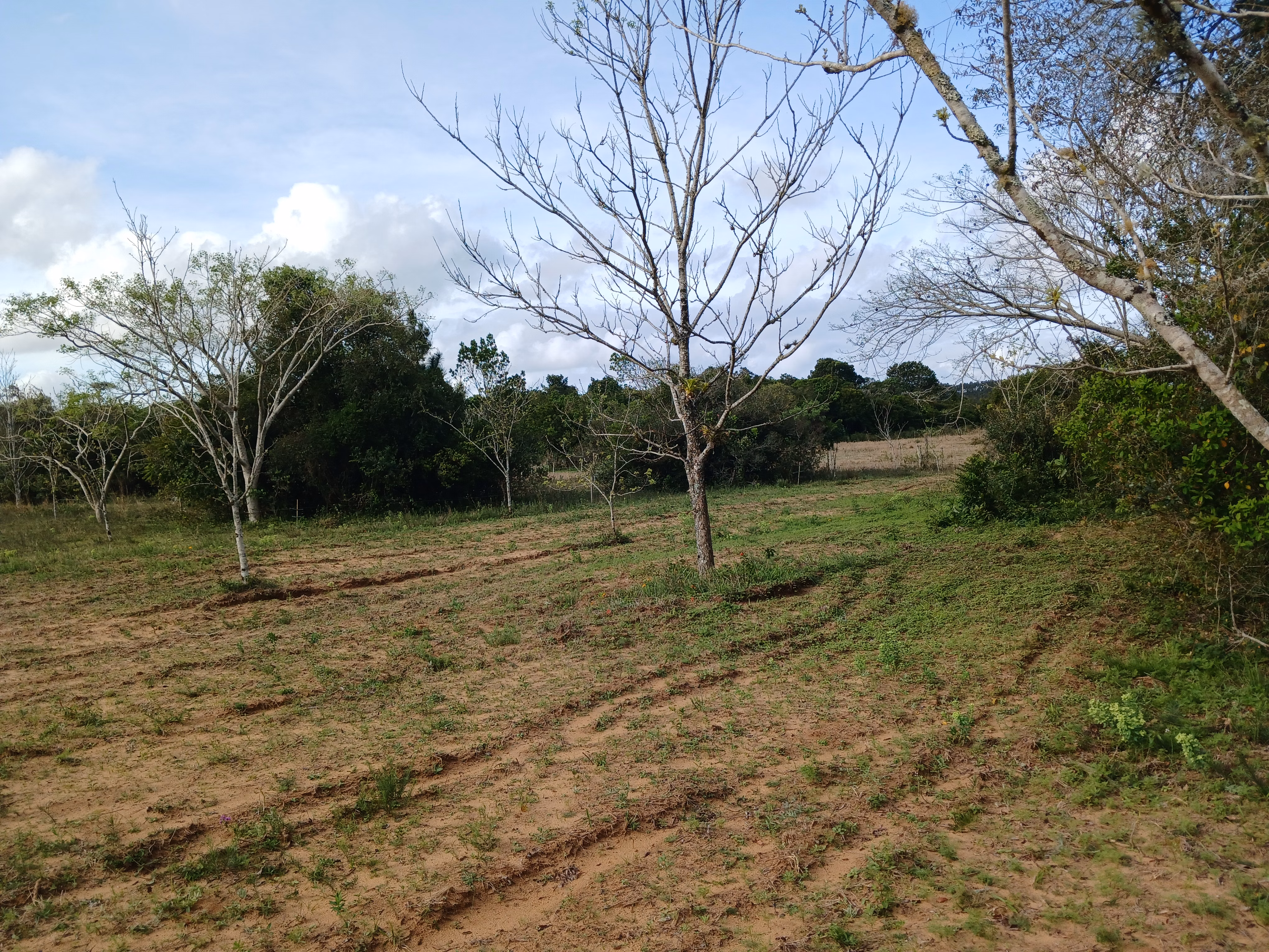 Sítio de 1 ha em Viamão, RS