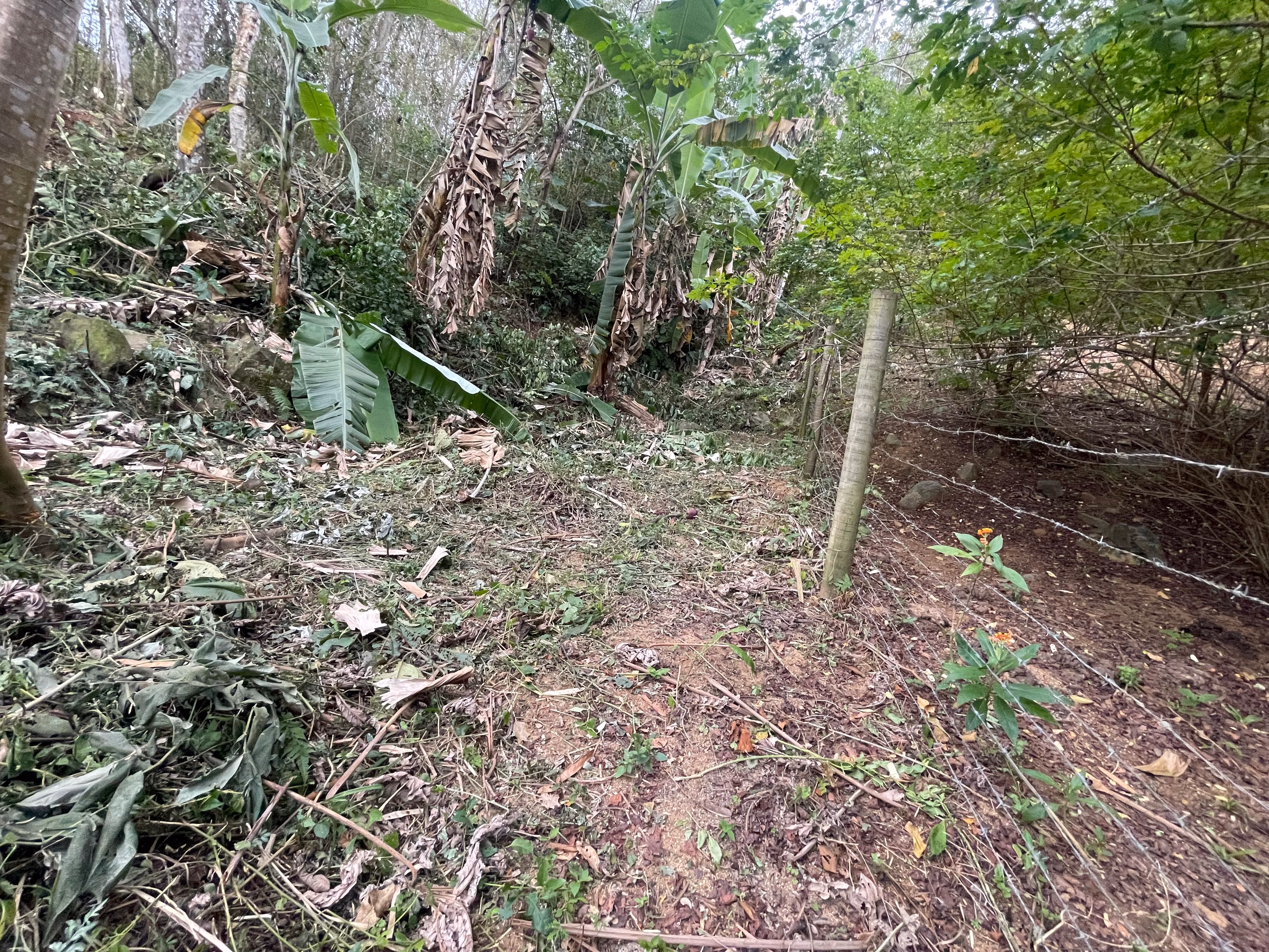 Terreno de 450 m² en Rio de Janeiro, RJ