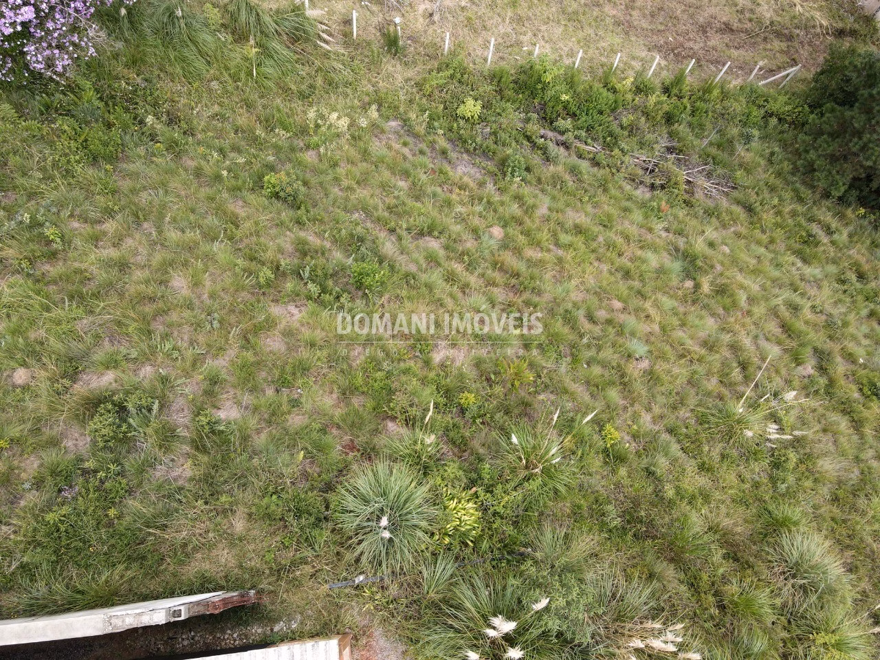 Plot of 1,180 m² in Campos do Jordão, SP, Brazil