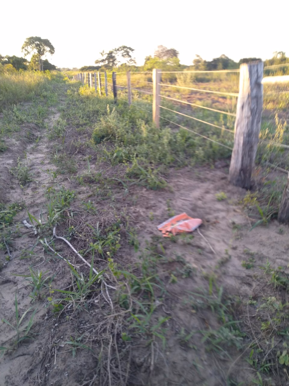 Fazenda de 4.060 ha em Corumbá, MS