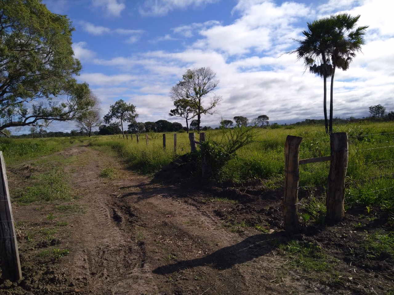Fazenda de 4.060 ha em Corumbá, MS