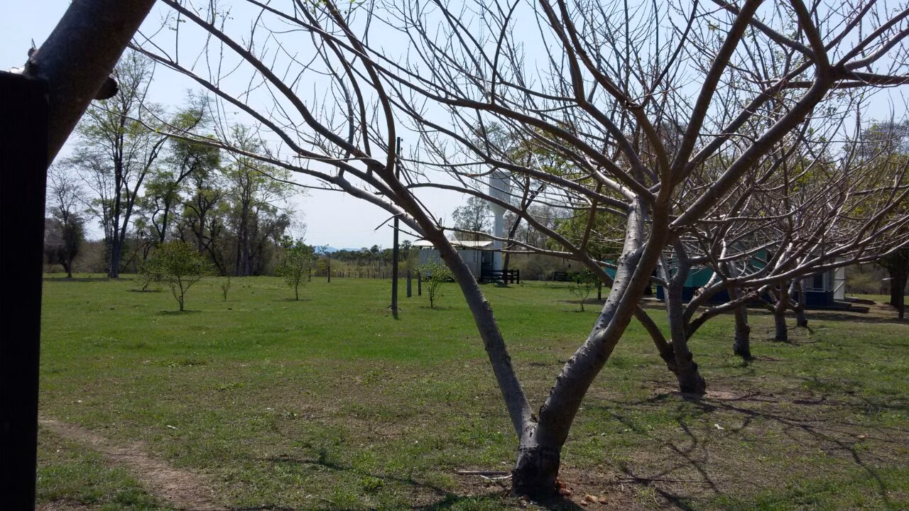 Fazenda de 4.060 ha em Corumbá, MS