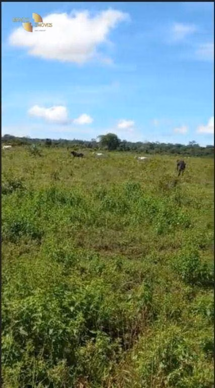 Fazenda de 1.145 ha em Diamantino, MT