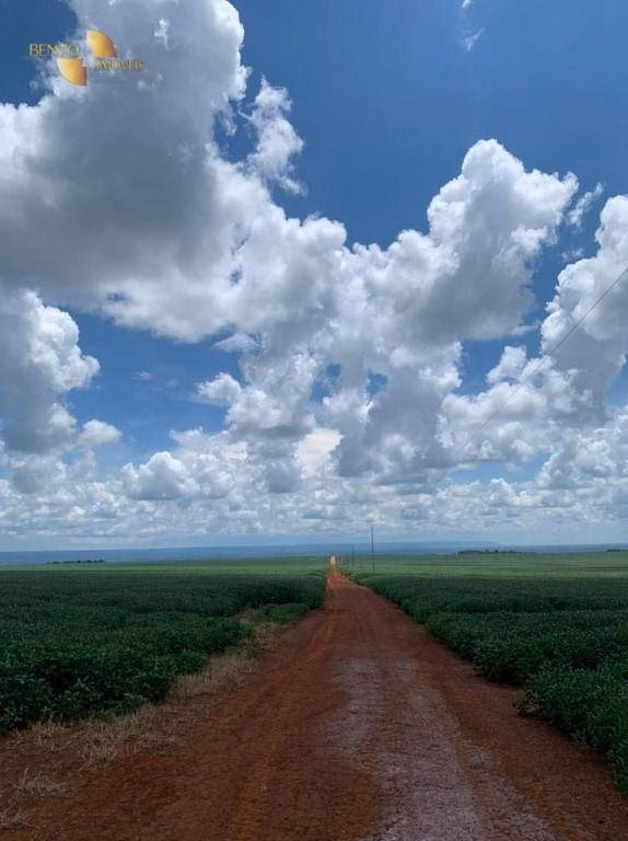 Fazenda de 1.145 ha em Diamantino, MT