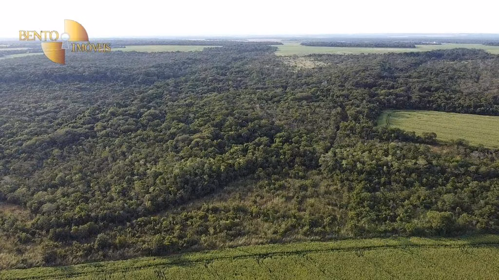 Fazenda de 1.145 ha em Diamantino, MT