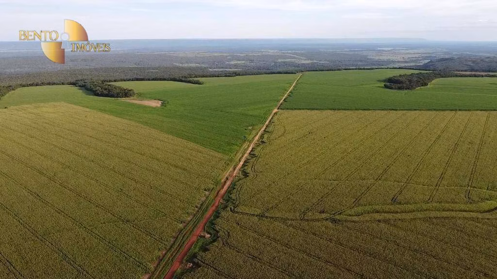 Fazenda de 1.145 ha em Diamantino, MT