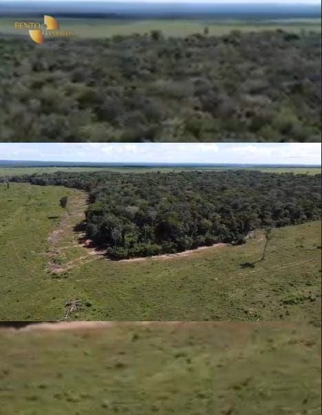 Fazenda de 1.145 ha em Diamantino, MT