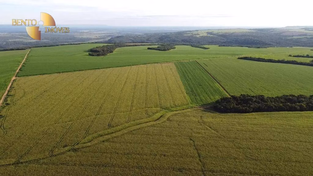 Fazenda de 1.145 ha em Diamantino, MT