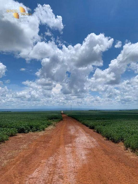 Fazenda de 1.145 ha em Diamantino, MT