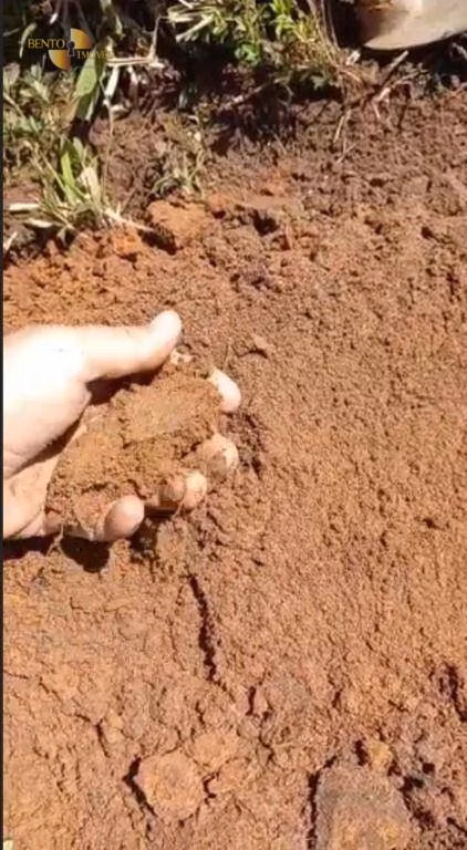 Fazenda de 1.145 ha em Diamantino, MT