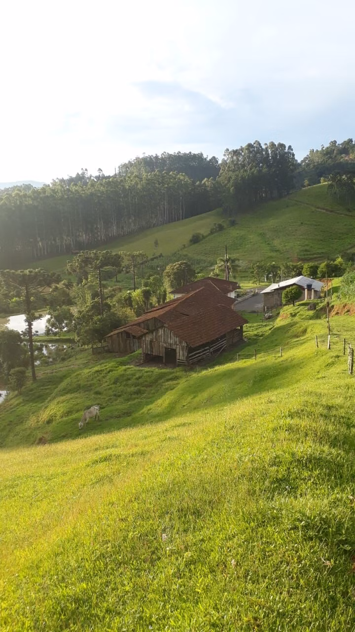 Sítio de 12 ha em Rio do Campo, SC