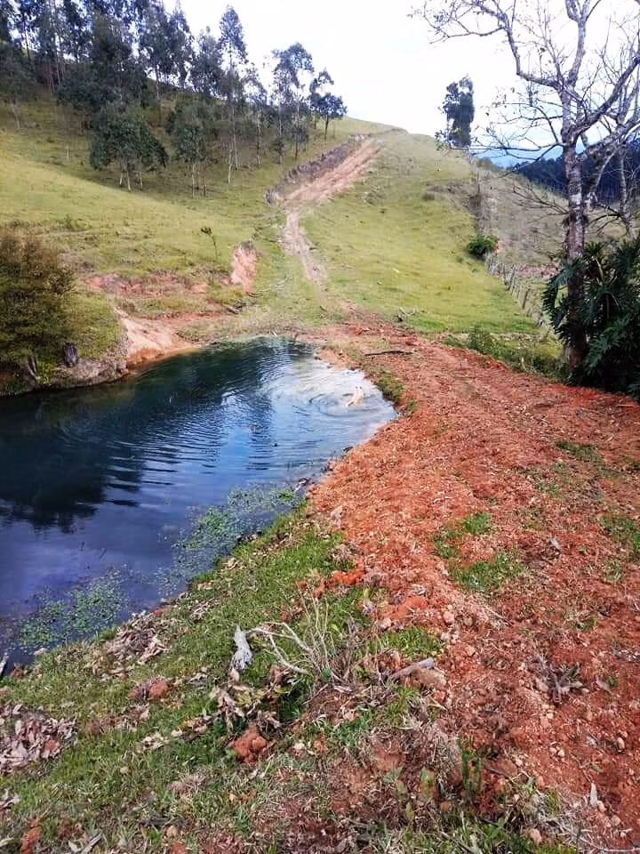 Sítio de 12 ha em Rio do Campo, SC