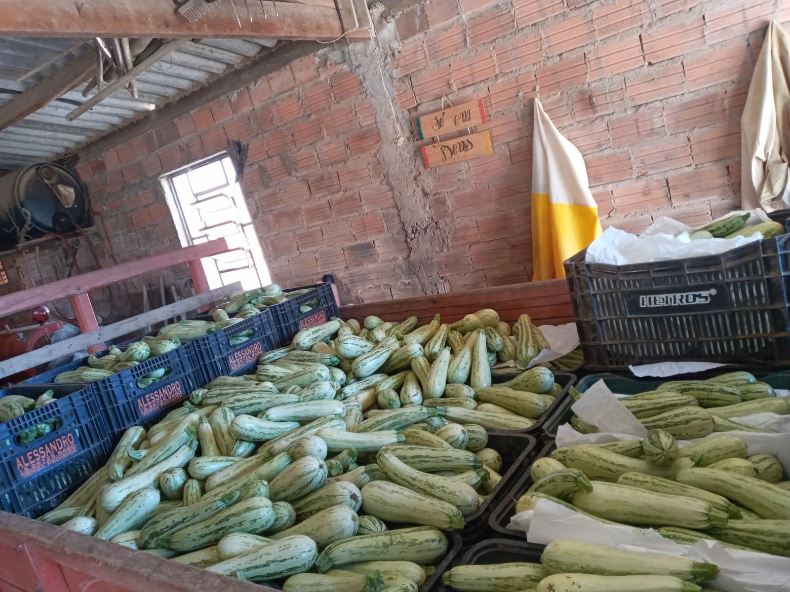 Chácara de 3 ha em São Miguel Arcanjo, SP