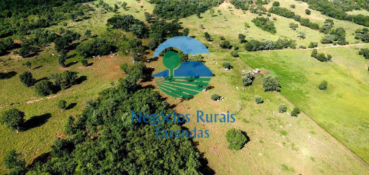 Fazenda de 837 ha em Crixás, GO