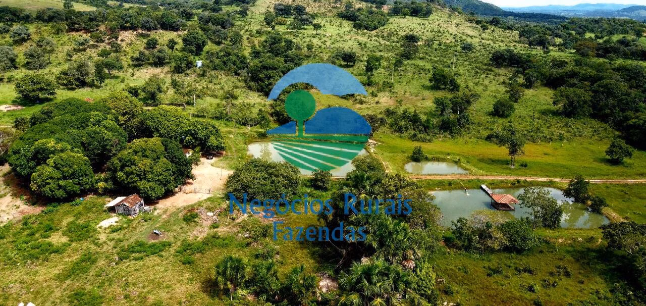 Fazenda de 837 ha em Crixás, GO
