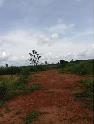 Fazenda de 1.210 ha em Araguaína, TO