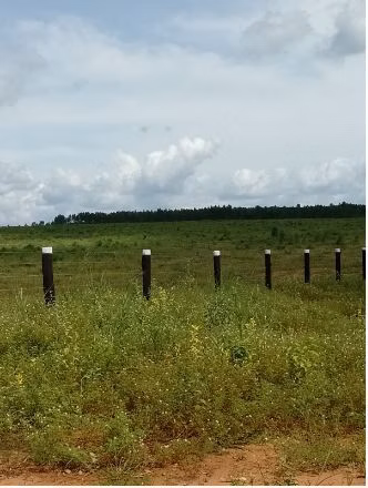 Fazenda de 1.210 ha em Araguaína, TO