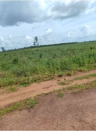 Fazenda de 1.210 ha em Araguaína, TO