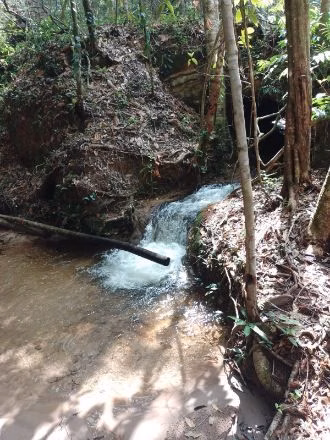Fazenda de 1.210 ha em Araguaína, TO