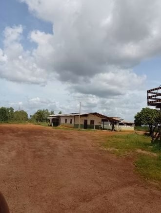 Fazenda de 1.210 ha em Araguaína, TO