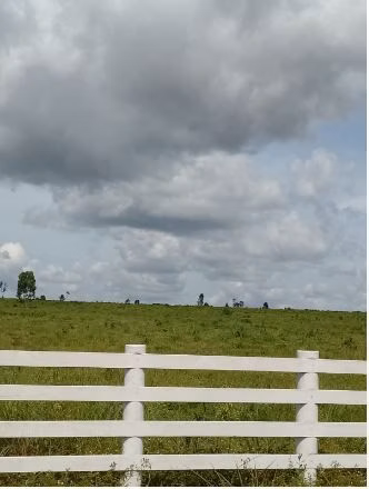 Fazenda de 1.210 ha em Araguaína, TO