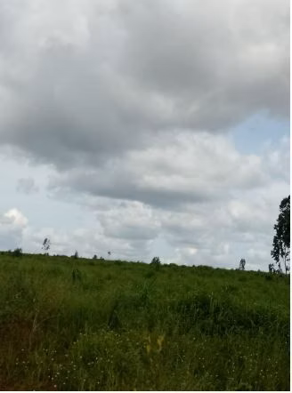 Fazenda de 1.210 ha em Araguaína, TO