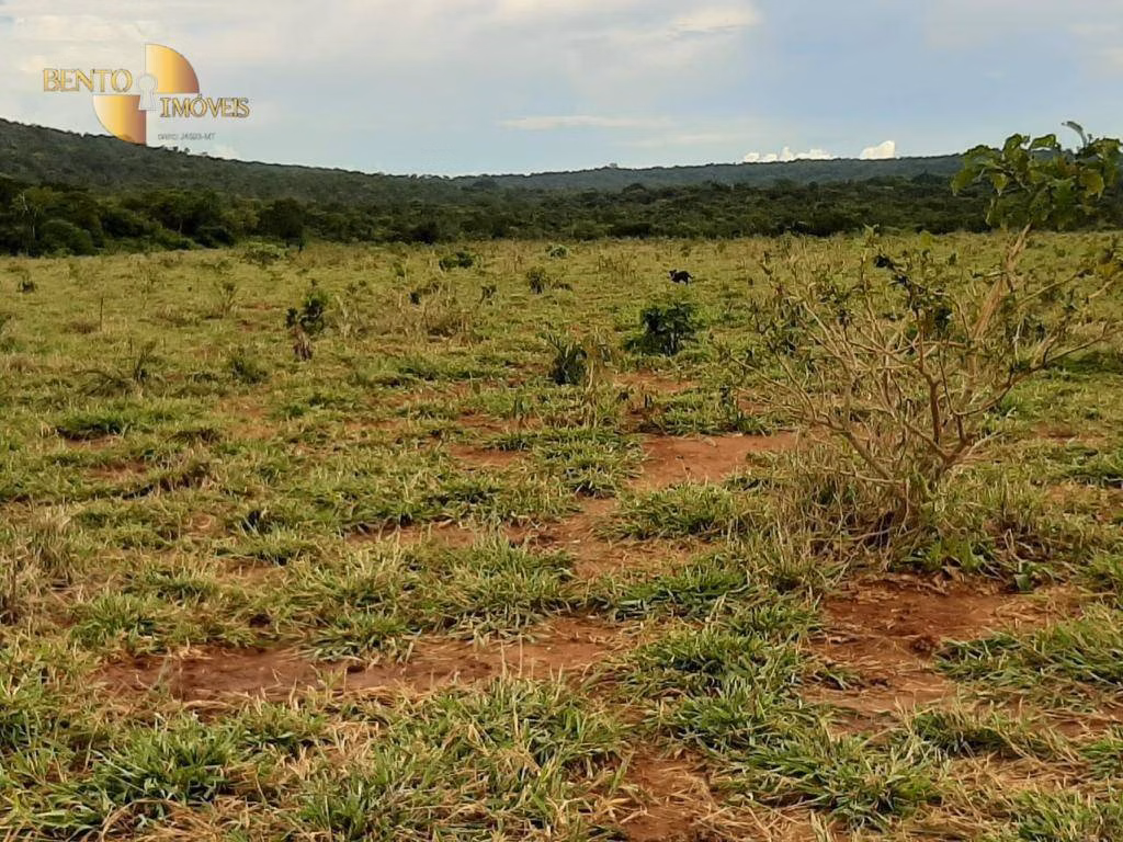 Fazenda de 1.034 ha em Paranatinga, MT