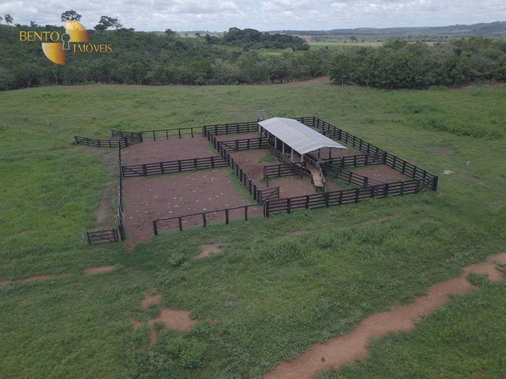 Fazenda de 1.034 ha em Paranatinga, MT