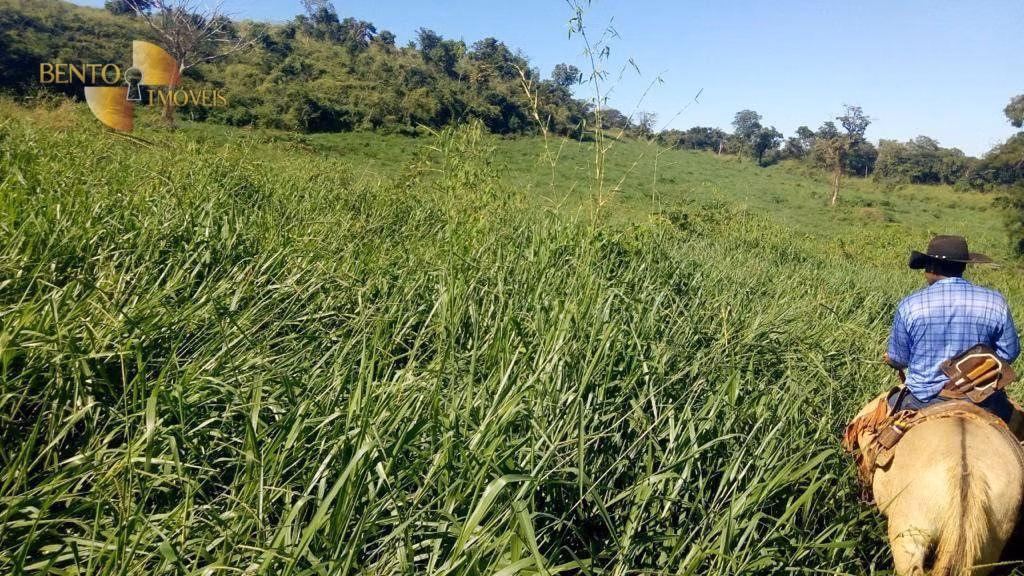 Fazenda de 1.034 ha em Paranatinga, MT