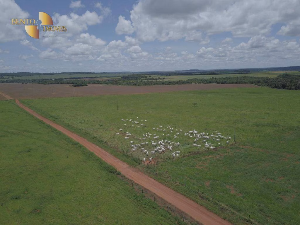 Fazenda de 1.034 ha em Paranatinga, MT