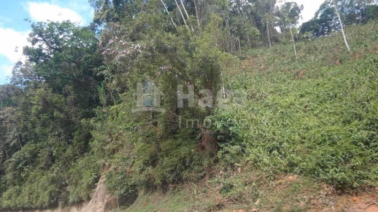 Fazenda de 9 ha em Guabiruba, SC