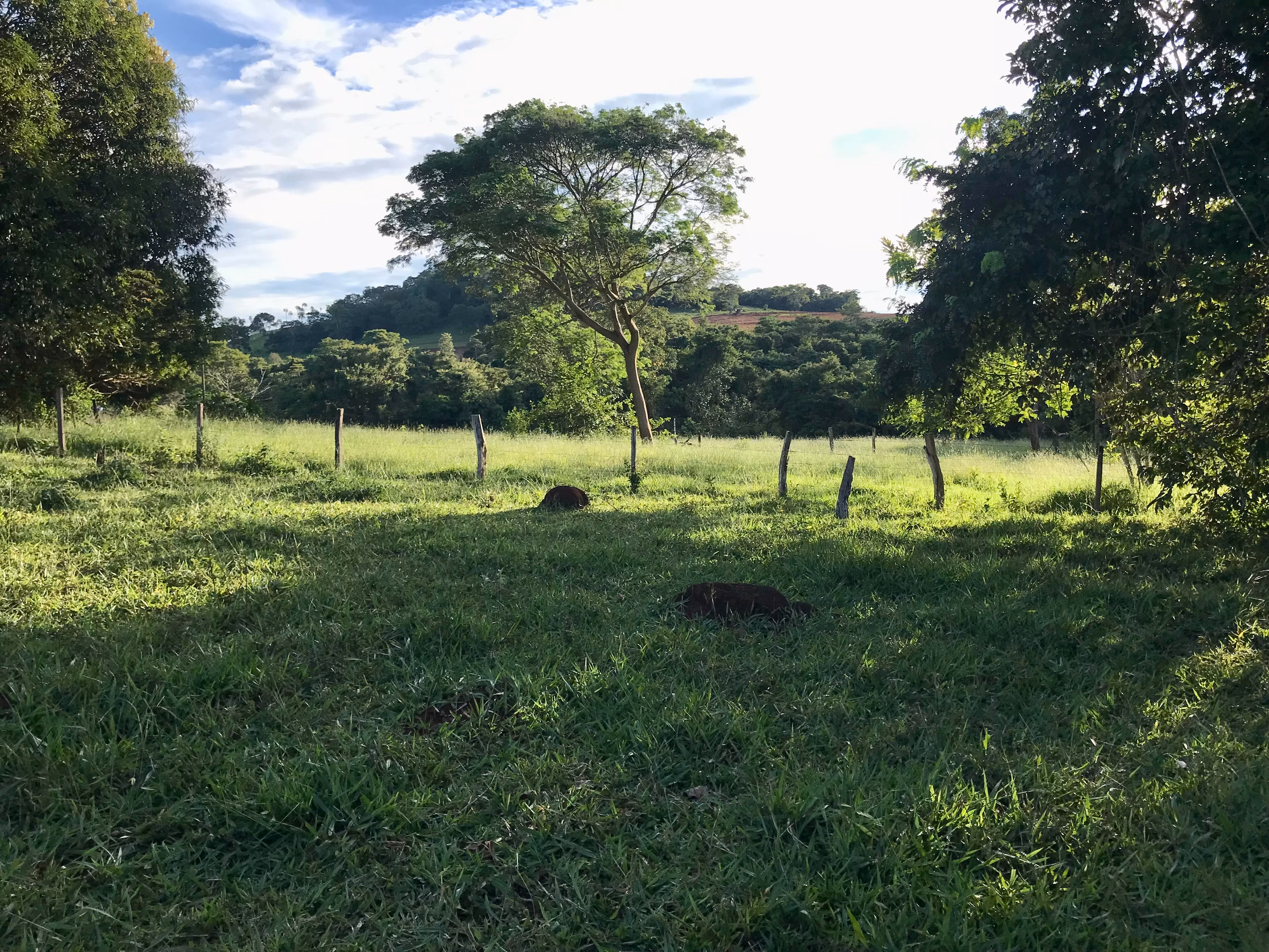 Fazenda de 100 ha em Petrolina de Goiás, GO