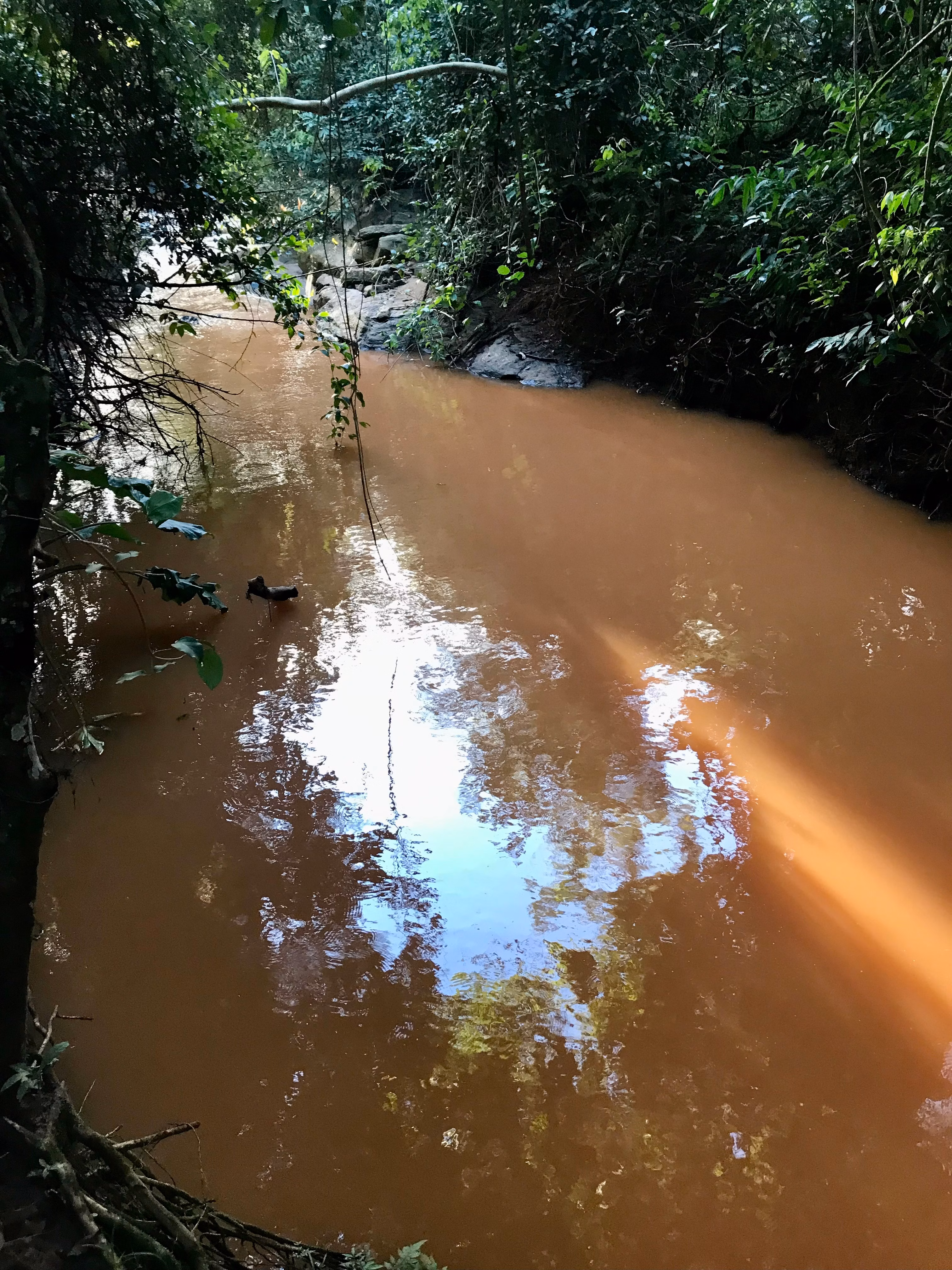 Fazenda de 100 ha em Petrolina de Goiás, GO
