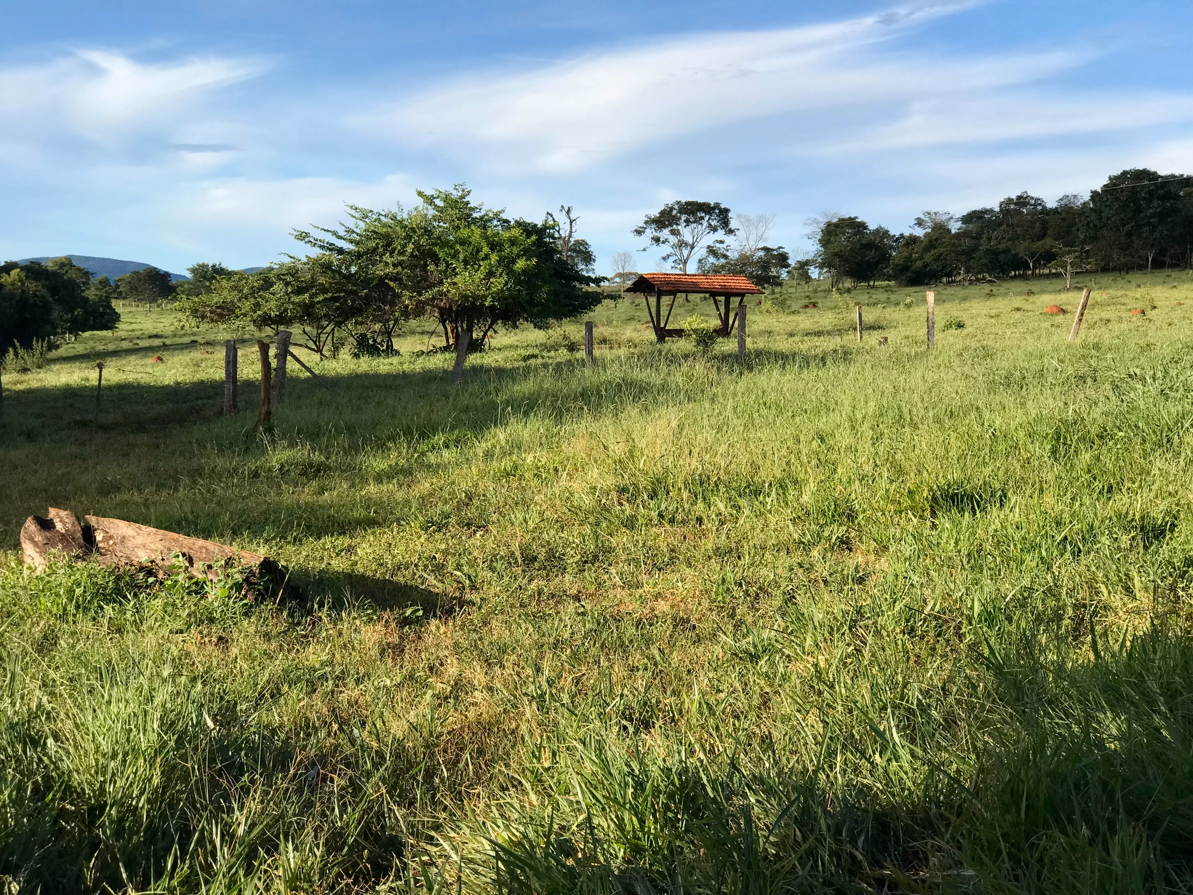 Fazenda de 100 ha em Petrolina de Goiás, GO