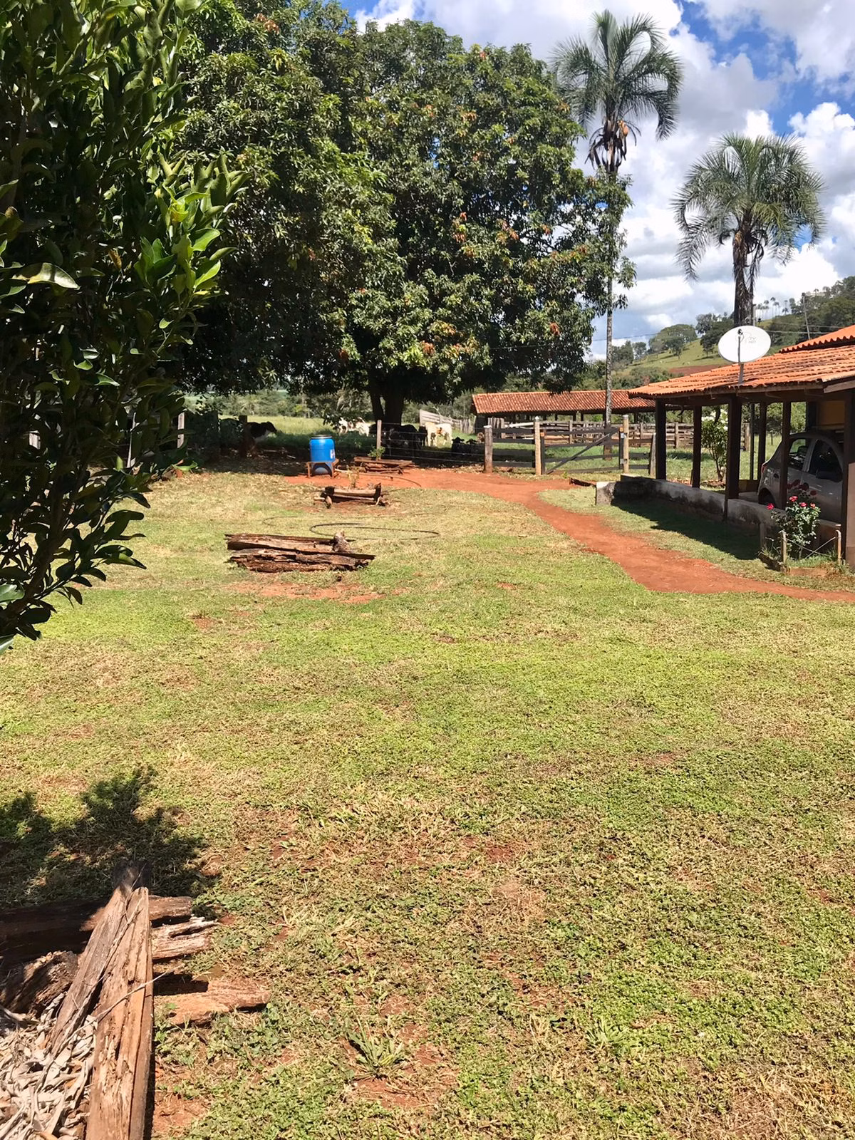 Farm of 247 acres in Petrolina de Goiás, GO, Brazil