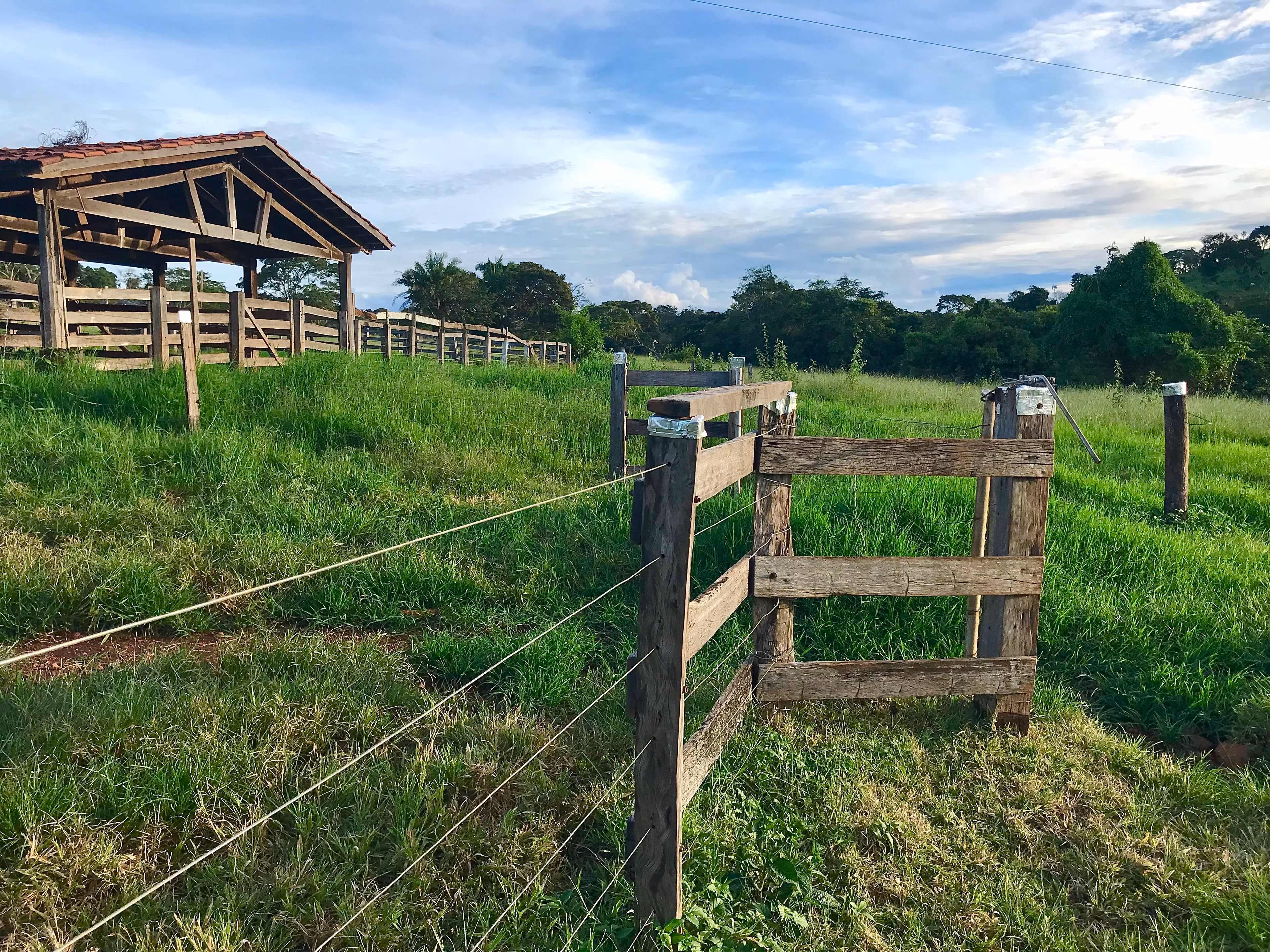 Fazenda de 100 ha em Petrolina de Goiás, GO