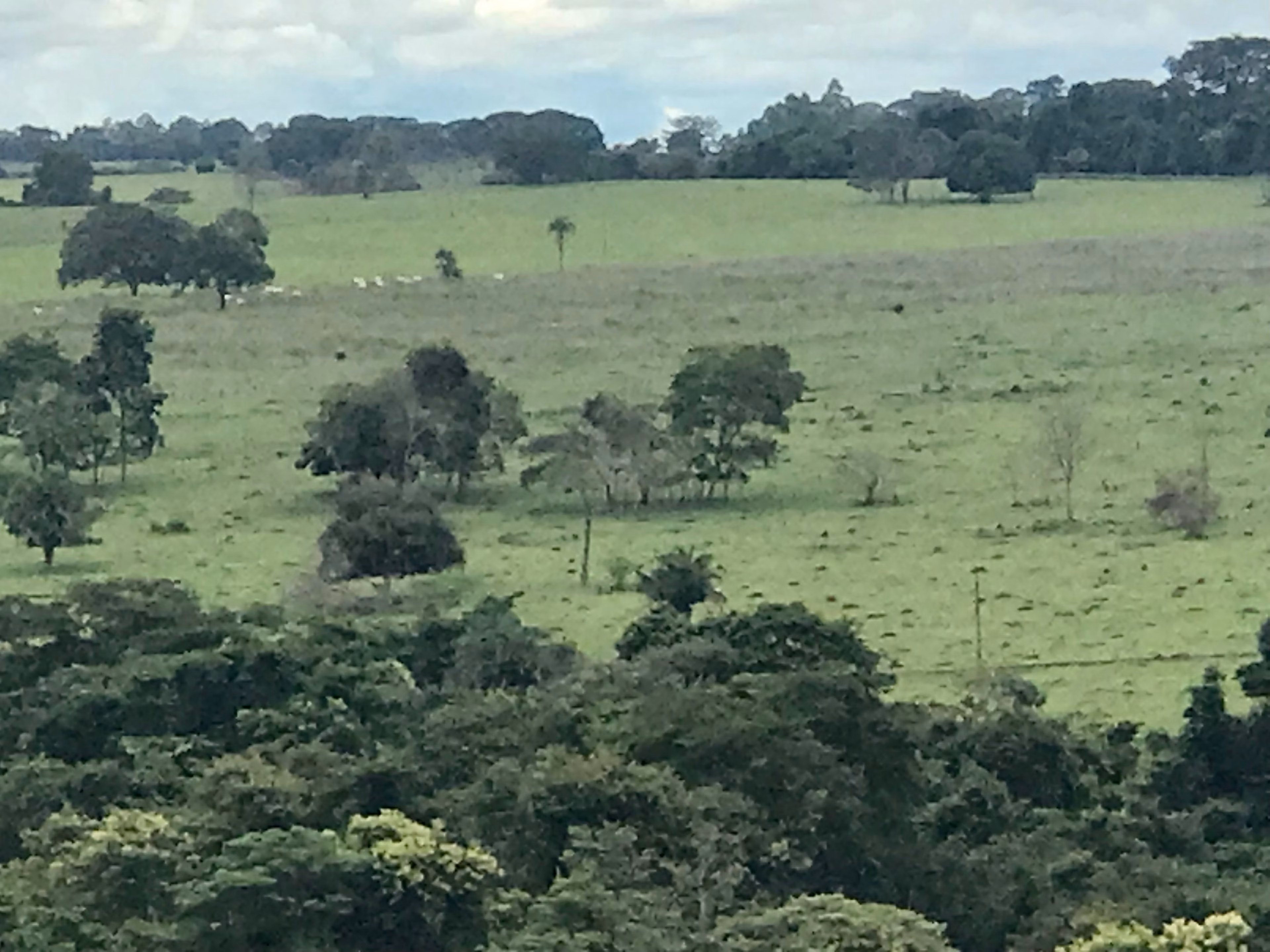 Fazenda de 100 ha em Petrolina de Goiás, GO
