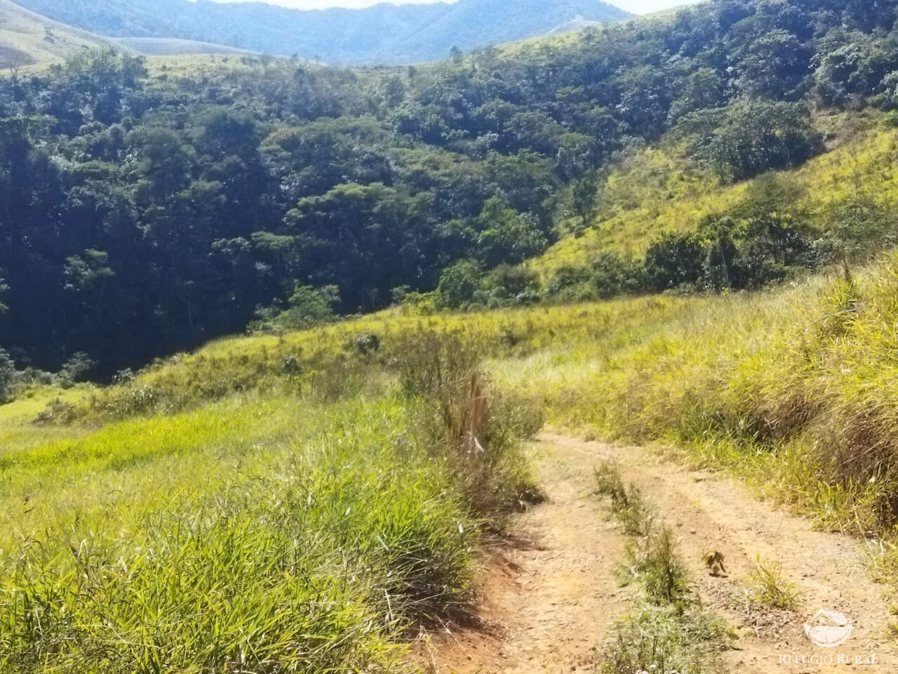Terreno de 5 ha em São José dos Campos, SP