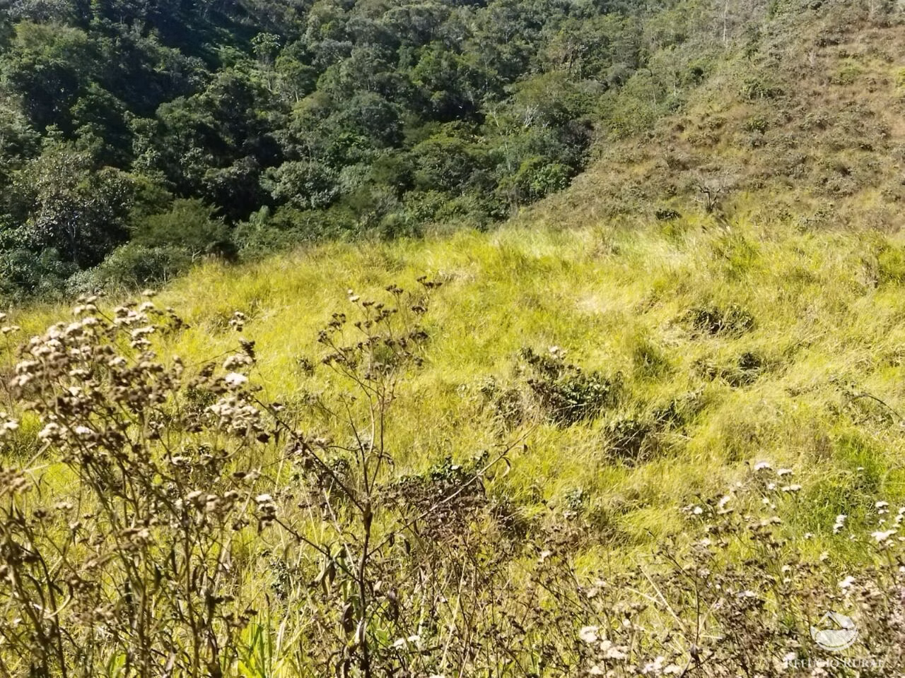 Terreno de 5 ha em São José dos Campos, SP