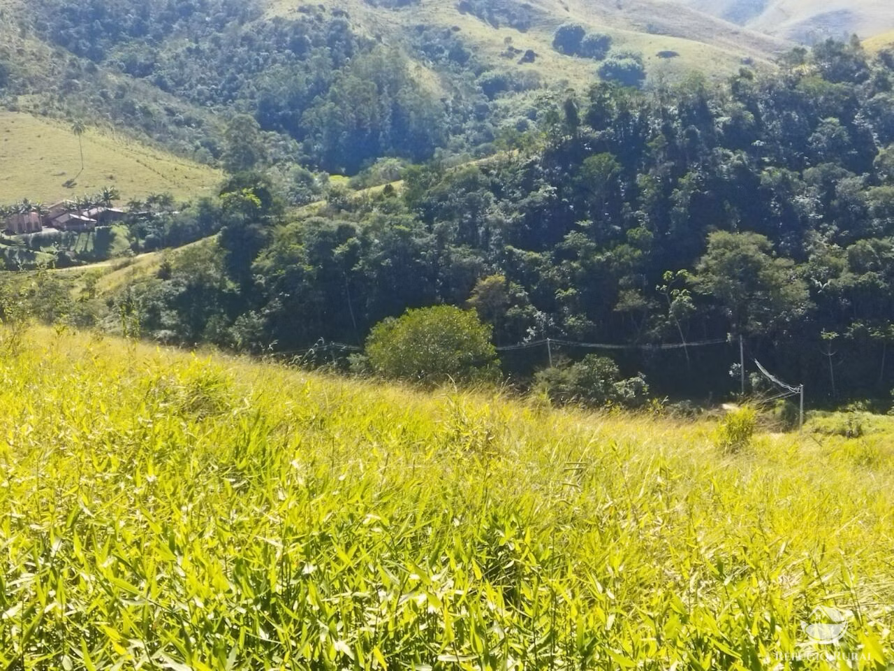 Terreno de 5 ha em São José dos Campos, SP