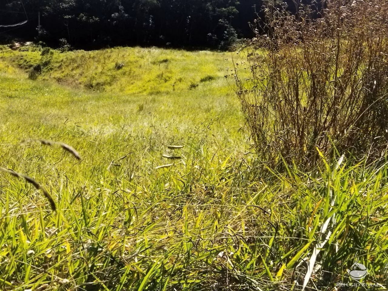 Terreno de 5 ha em São José dos Campos, SP