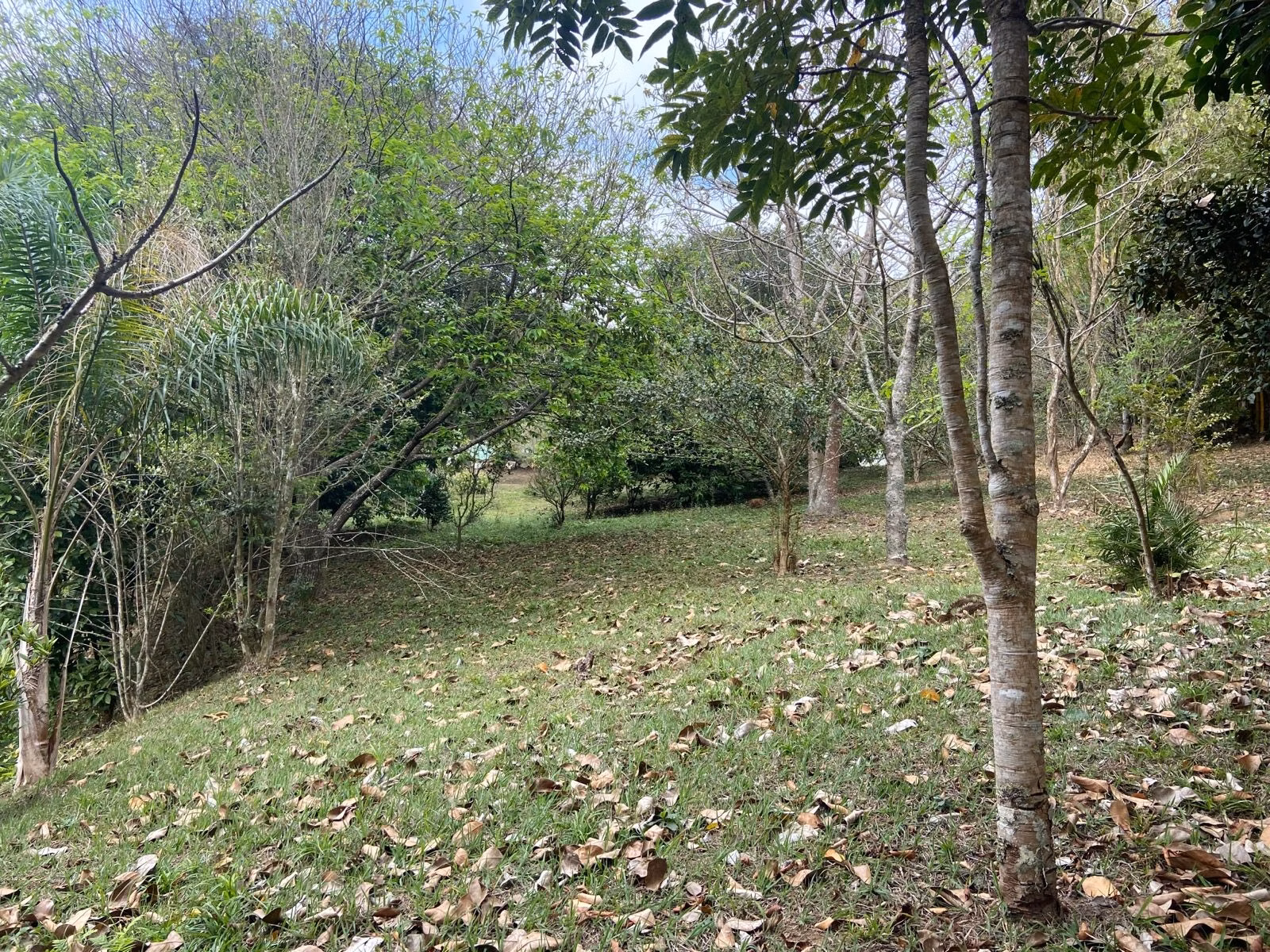 Small farm of 15 acres in São José dos Campos, SP, Brazil