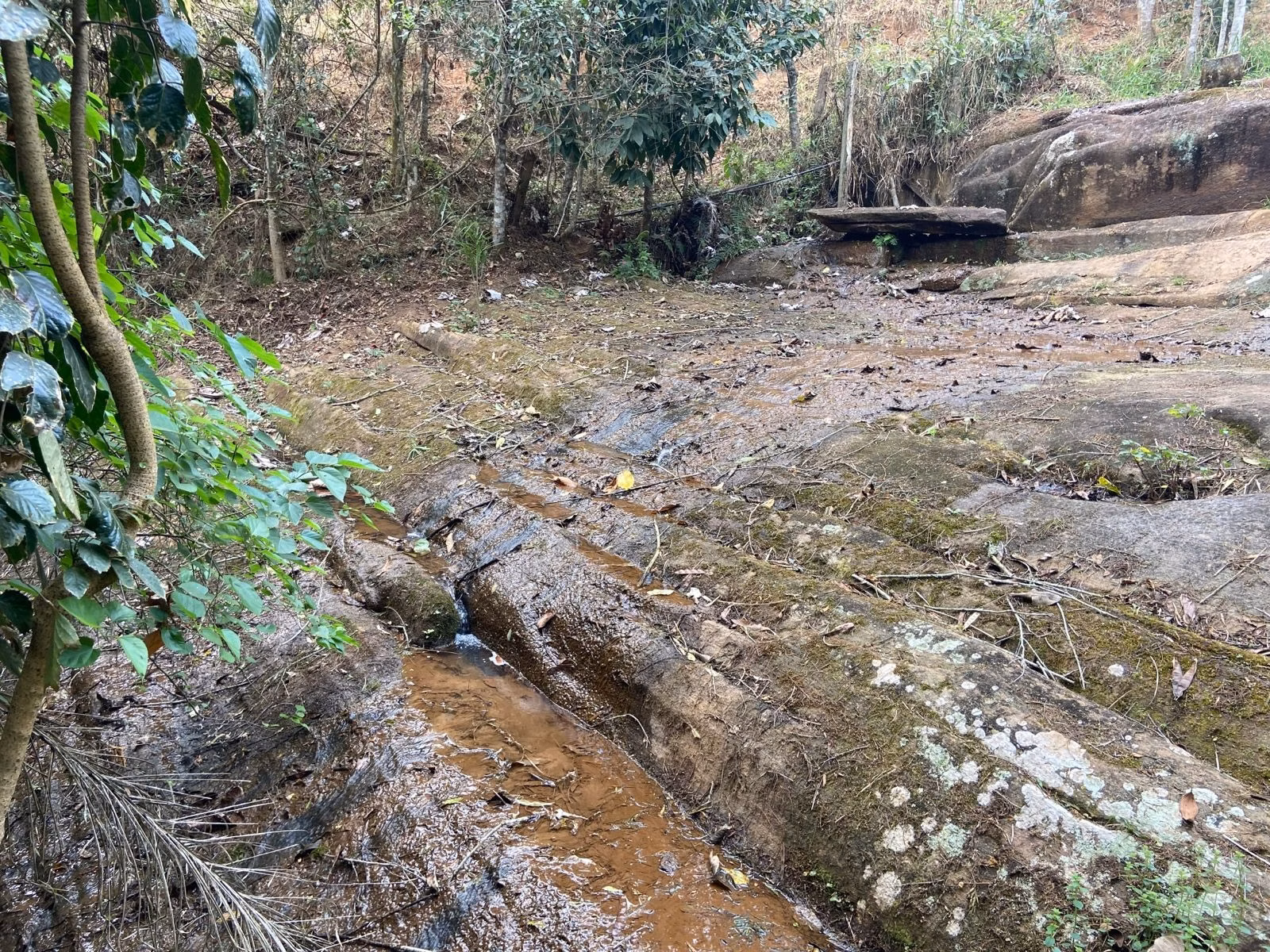 Small farm of 15 acres in São José dos Campos, SP, Brazil