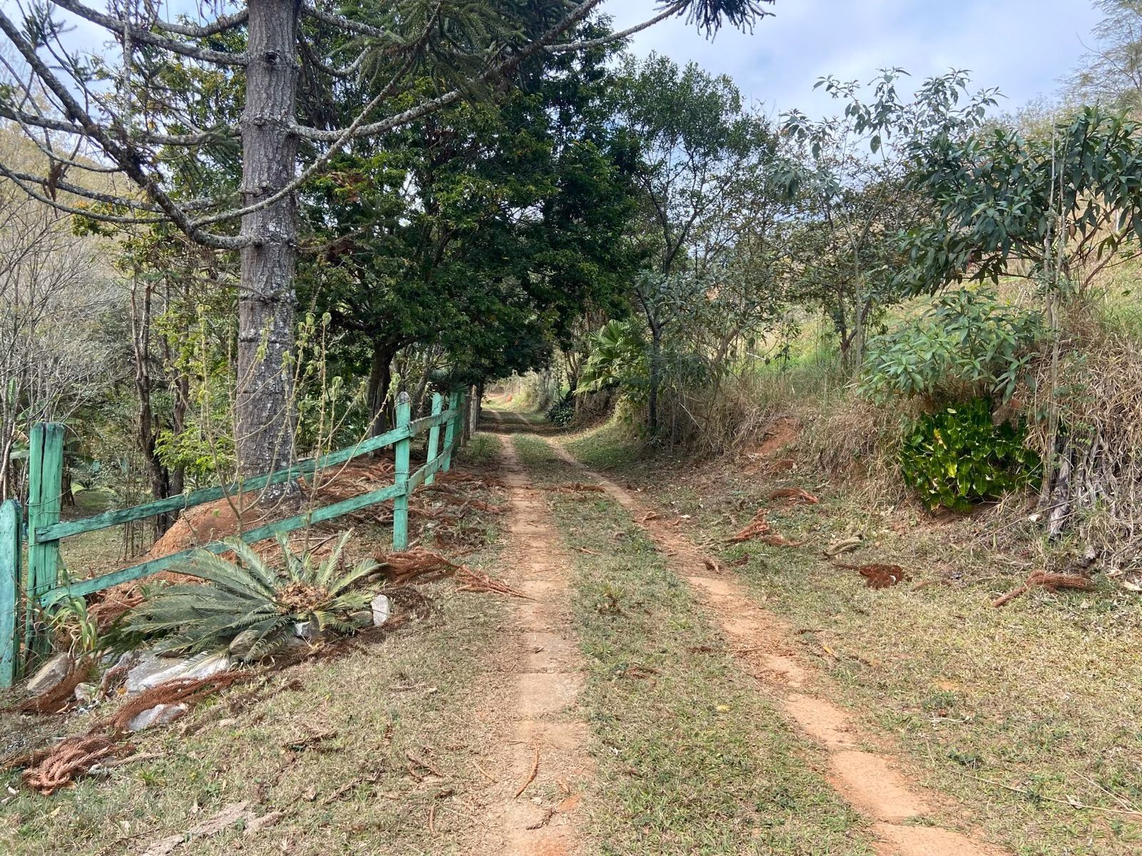 Small farm of 15 acres in São José dos Campos, SP, Brazil