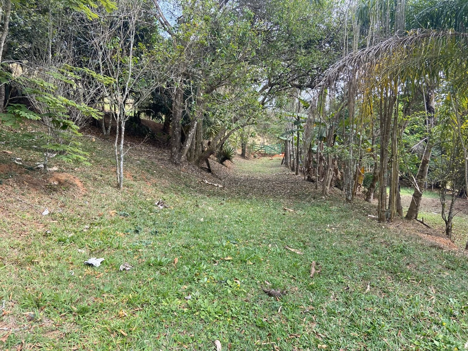 Small farm of 15 acres in São José dos Campos, SP, Brazil