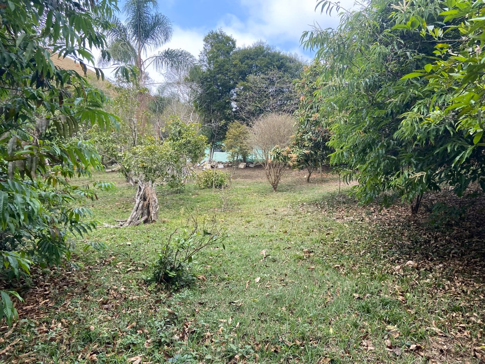 Small farm of 15 acres in São José dos Campos, SP, Brazil