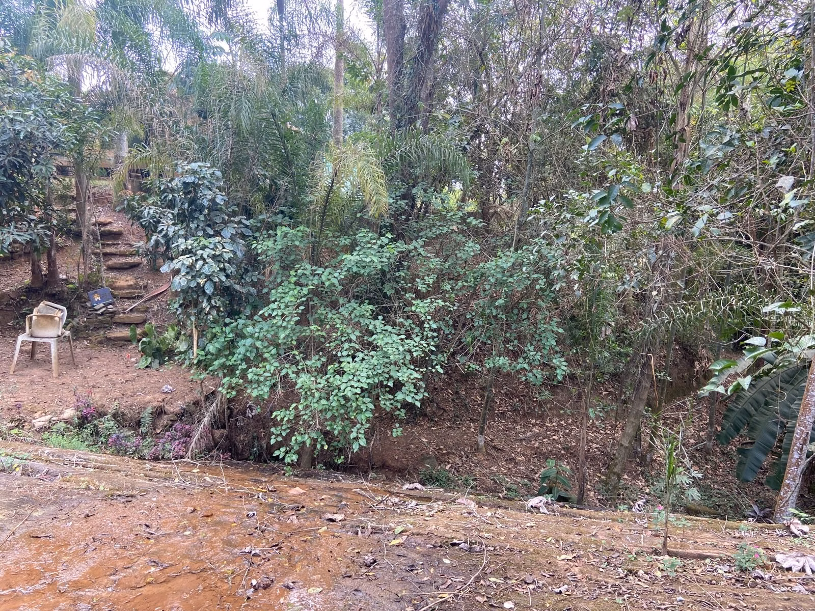 Small farm of 15 acres in São José dos Campos, SP, Brazil
