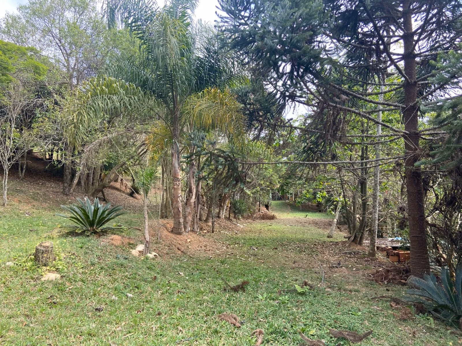 Small farm of 15 acres in São José dos Campos, SP, Brazil