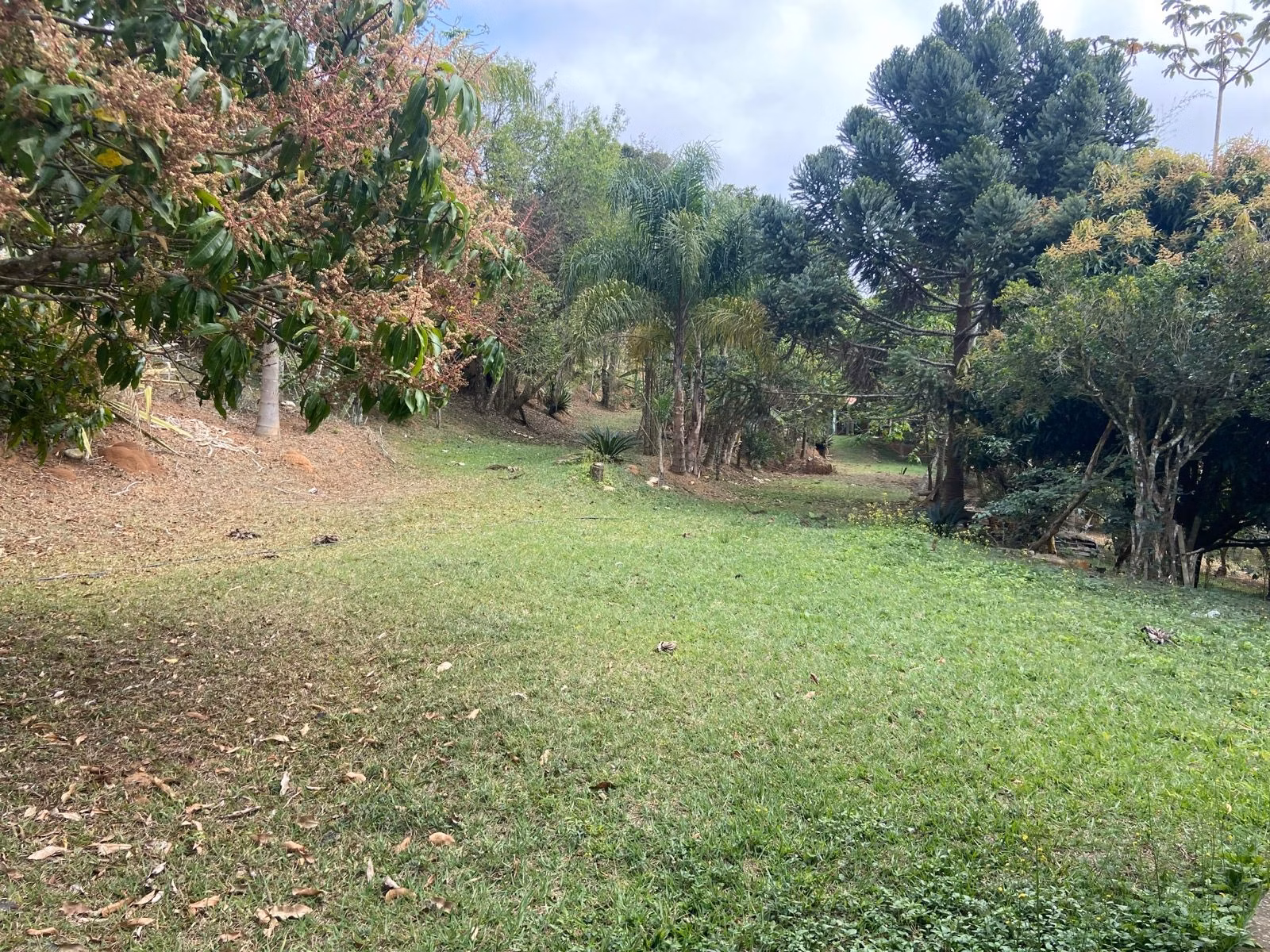 Small farm of 15 acres in São José dos Campos, SP, Brazil